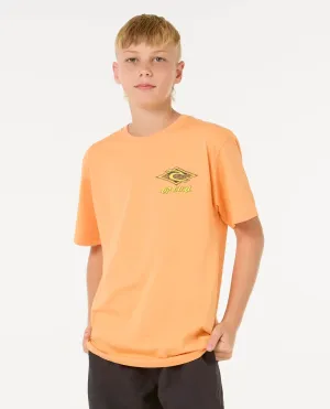Boys Raw Energy Dolphin T-Shirt in Mandarin