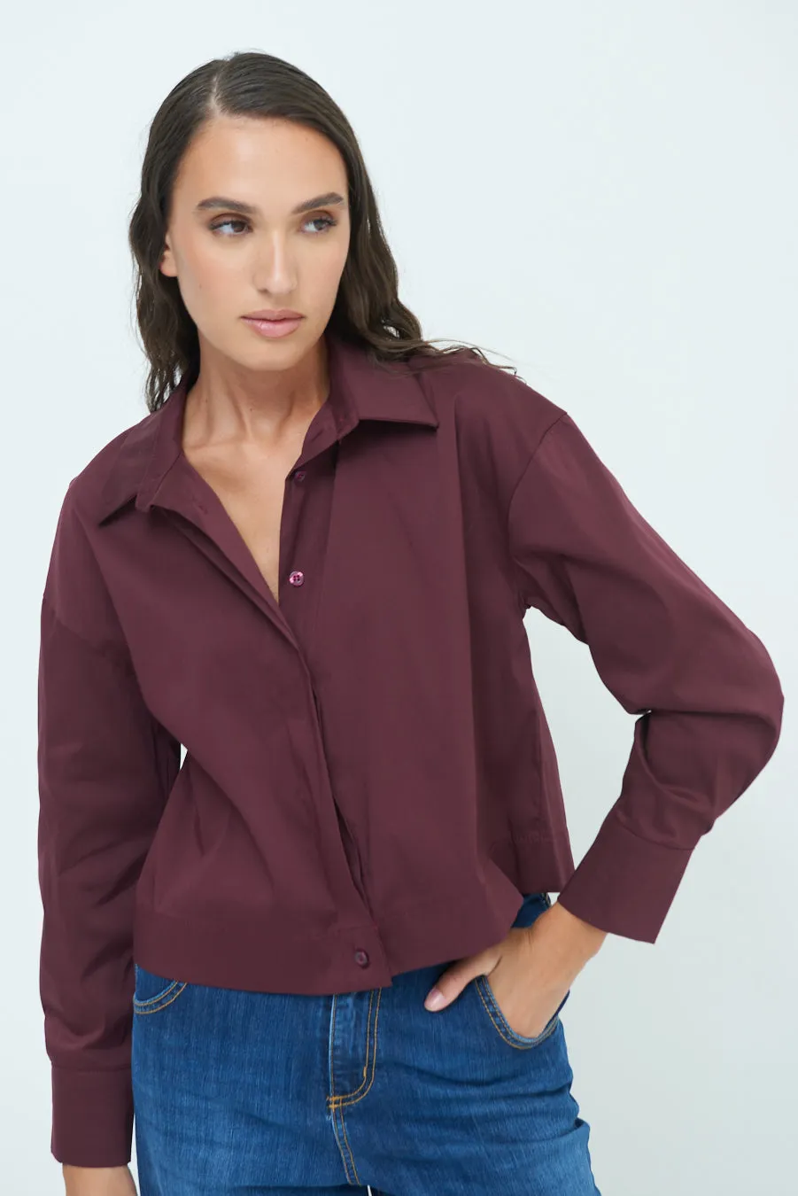 Long sleeve button-up shirt with classic collar wholesale