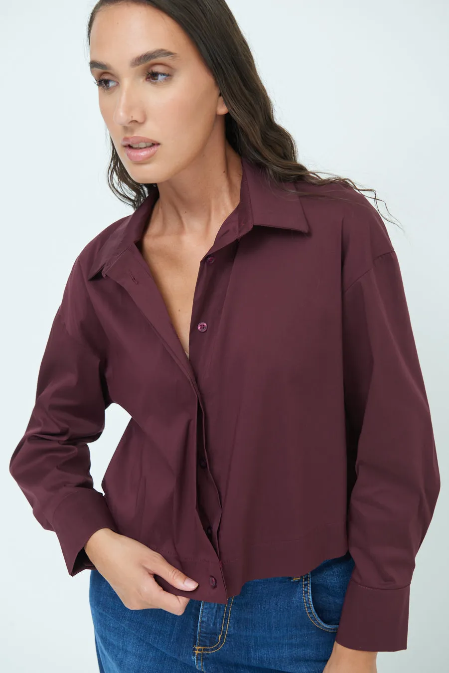 Long sleeve button-up shirt with classic collar wholesale