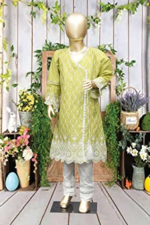 Shomi Stitched Chikankari Kids Shirts Collection'2022-SD-13-Dhani